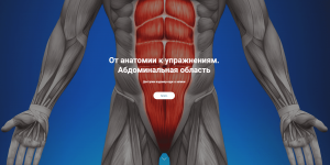 Антон Шапочка, Михаил Касаткин. От анатомии к упражнениям. Абдоминальная область.png Антон Шапочка, Михаил Касаткин. От анатомии к упражнениям. Абдоминальная область.png