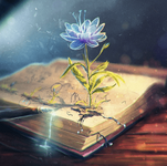  [Ассоциация Атлантида] [Проект Игра] Волшебная книга Целителей. Часть 1. Общее лечение (2022)...png