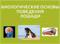 [Антонина Шевченко] Биологические основы поведения лошади (2013).png