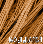 Скачать [Валерий Подрубаев] Коллаген от А до Я (2023).png