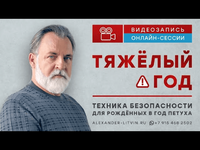 Скачать [Александр Литвин] Тяжелый год. Техника безопасности для рожденных в год Петуха (2023).png