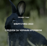 Скачать [Дмитрий Лаптев] [Дао-Сфера] Энергетика 2023. Следуем за черным кроликом (2023).png