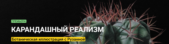 ruzanna-ajrapetjan-karandashnyj-realizm-botanicheskaja-illjustracija.png
