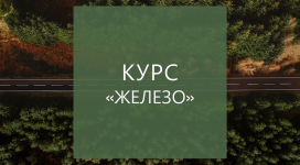 elena-suxanova-kurs-zhelezo-2023.png