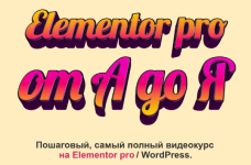 fedor-vasilev-elementor-pro-ot-a-do-ja-2022.png