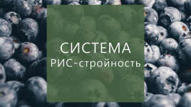suxanova-elena-sistema-ris-strojnost-2023.png