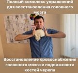anton-alekseev-polnyj-kompleks-uprazhnenij-dlja-vosstanovlenija-golovnogo-mozga-vosstanovlenie...png