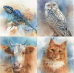 anastasija-besedina-enterclass-akvarelnaja-fauna-2023.png