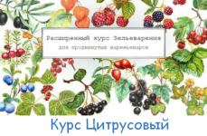 irina-taro-bolshoj-citrusovyj-kurs-2023.png