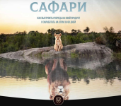 danya-vollk-safari-tarif-maugli-2023.png