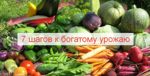 aljona-volkova-aljonin-sad-7-shagov-k-bogatomu-urozhaju-2023.png