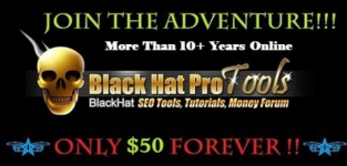 blackhatprotools-4795-dollarov-mesjac-unikalnym-metodom-perevod-202.png
