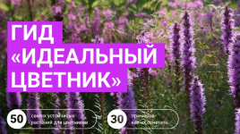 marina-berestova-gid-idealnyj-cvetnik-2023.png