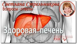trening-zdorovaja-pechen-2-0-strelnikova-2021.jpeg