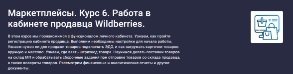 stepik-anastasija-ehdzhington-marketplejsy-kurs-6-rabota-v-kabinete-prodavca-wildberries-2023.png