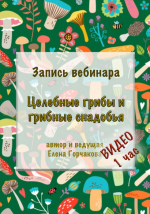 elena-gorchakova-medvezhij-ugol-celebnye-griby-i-gribnye-snadobja-2023.png