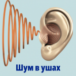 overchenko-k-v-borisov-a-s-vse-o-shume-v-ushax-videogajd-2023.png