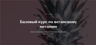 nastja-lisica-bazovyj-kurs-po-veganskomu-pitanij.png