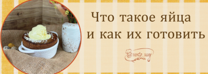 anna-rej-chto-takoe-jajca-i-kak-ix-gotovit-2023.png