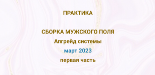 ehmilija-frank-praktika-sborka-muzhskogo-polja-apgrejd-sistemy-2023.png