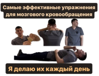 anton-alekseev-polnyj-kompleks-uprazhnenij-dlja-vosstanovlenija-krovosnabzhenija-mozga-treniro...png