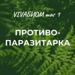 anna-kortunova-vivabiom-shag-1-protivoparazitarka-2023.png