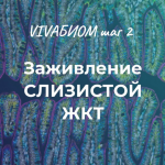 anna-kortunova-vivabiom-shag-2-zazhivlenie-slizistoj-zhkt-2023.png