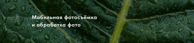 masha_fotoblog-mobilnaja-fotosemka-i-obrabotka-foto-202.png