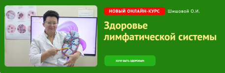 olga-shishova-zdorove-limfaticheskoj-sistemy-2023.png