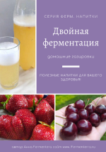 anna-fermenterra-fermenterra-dvojnaja-fermentacija-domashnie-gazirovki-2023.png