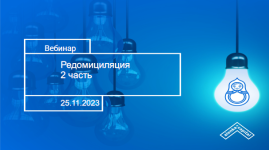 ehlvis-marlamov-kak-zarabotat-na-redomiciljacii-promezhutochnye-itogi-2023.png