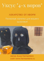 anna-fermenterra-fermenterra-uksus-4-x-vorov-lekarstvo-ot-xvori-2023..png