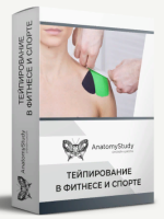 anatomija-andrej-bogatyrev-tejpirovanie-v-fitnese-i-sporte-dlja-fitnes-trenera-2022.png