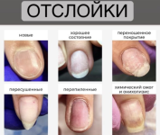 velmitina-zajceva-otslojki-2021.png velmitina-zajceva-otslojki-2021.png