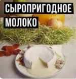ekaterina-kokochenko-syroprigodnoe-molok-osnovnye-pokazateli-trebovanija-k-uslovijam-polucheni...png