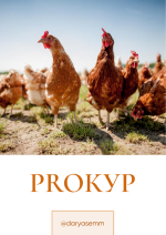 ryzhij-fermer-prokur-2023.png