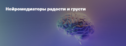 vjacheslav-dubynin-dubynin-o-mozge-nejromediatory-radosti-i-grusti-2023.png