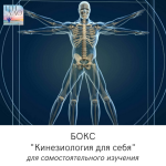 sergej-matjushkin-boks-kineziologija-dlja-sebja-2023.5.png