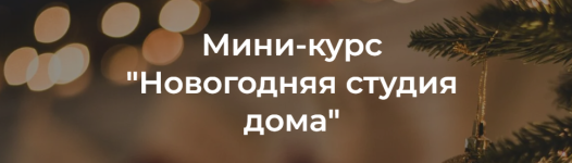 jana-savina-novogodnjaja-studija-doma-2023.png