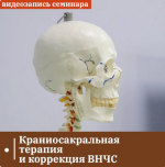 grigorij-krutov-kraniosakralnaja-terapija-i-korrekcija-vnchs-2024.png