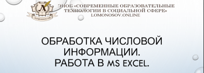 violetta-berestova-obrabotka-chislovoj-informacii-rabota-v-ms-excel-2023.png