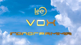 lee-vebinar-vox-gologramma-2024.png
