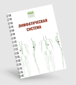 man-gajd-po-rabote-s-limfoj-ehkspress-diagnostika-vitaminy-i-mineraly-2024.png