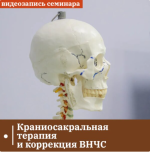 sandal-kraniosakralnaja-terapija-i-korrekcija-vnchs-2024.png
