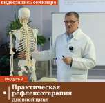 sandal-prakticheskaja-refleksoterapija-modul-2-dnevnoj-cikl-2023.png sandal-prakticheskaja-refleksoterapija-modul-2-dnevnoj-cikl-2023.png