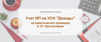 olga-shulova-uchetbezzabot-rf-uchet-ip-na-usn-doxody-2024.png