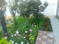 IMG_20140710_070306.jpg