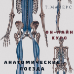 1710852510181.png