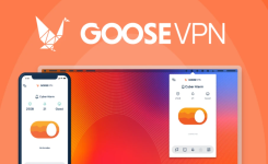goose-vpn-vpn-s-pozhiznennoj-podpiskoj-polnyj-bezlimit-appsumo-goosevpn-com.png
