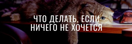 b17-marina-radionova-gajd-chto-delat-kogda-nichego-ne-xochetsja-2024.jpg
